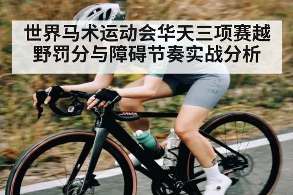 世界马术运动会华天三项赛越野罚分与障碍节奏实战分析